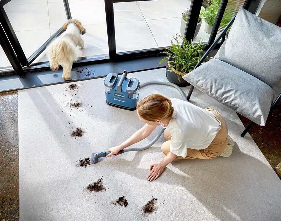 Vacmaster EasyClean Up Carpet Cleaner on an Irish Rug