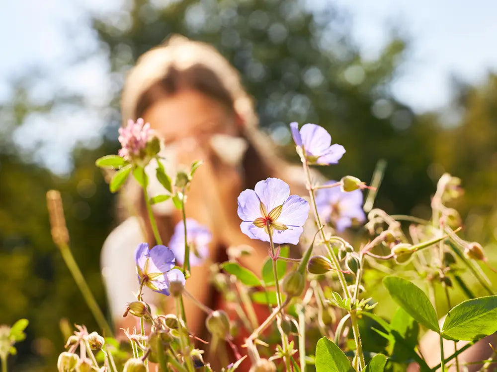 Manage Summer Allergies - Vacmaster