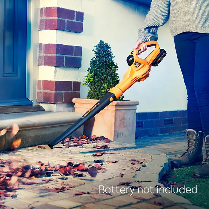 Bare Cordless Leafblower in an Irish Front Garden