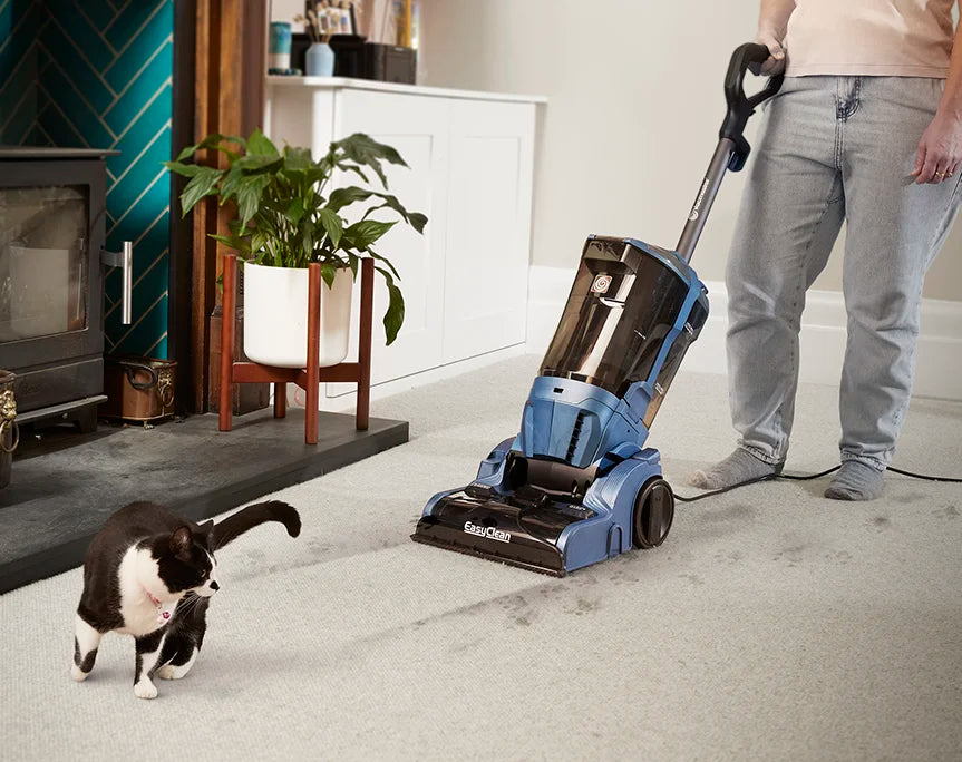 Pet Carpet Cleaner Vacmaster  EasyClean UCT Cleaning Pet Mess in Living Room CA0712UK