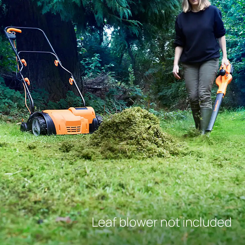 LawnMaster Electric Rake and Aerator with a LawnMaster Leaf Blower