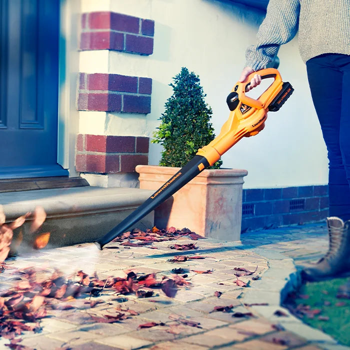 LawnMaster Leaf Blowers for Irish Gardens