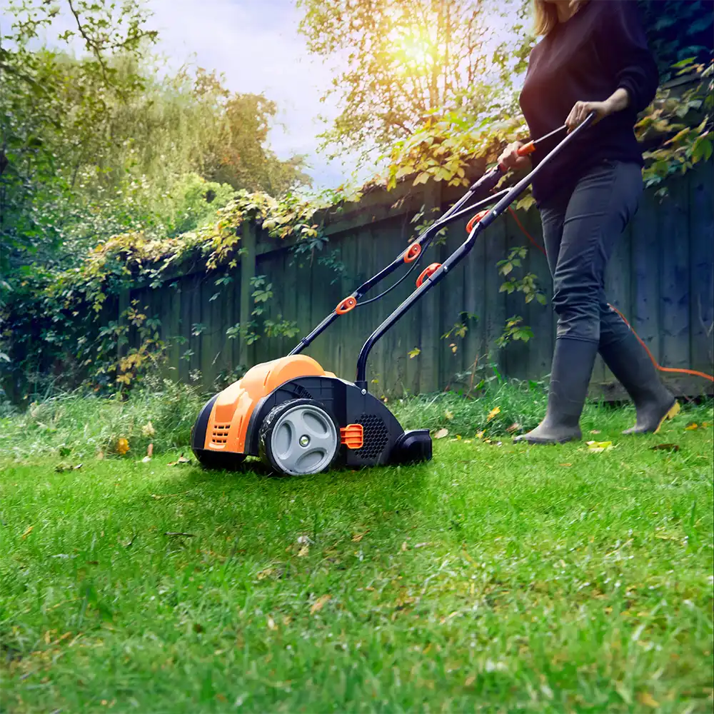LawnMaster 2-in-1 Electric Scarifier GV1333B Combo-01